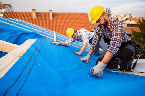 Best Roof Gutter Cleaning  in Tysons, VA